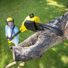 Best Tree Disease Treatment  in Brookneal, VA