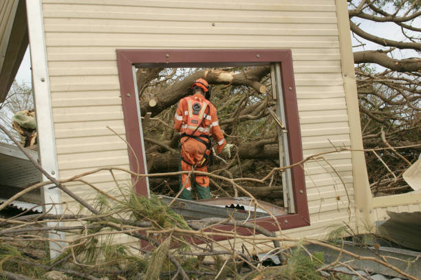 Best Stump Grinding and Removal  in Brookneal, VA